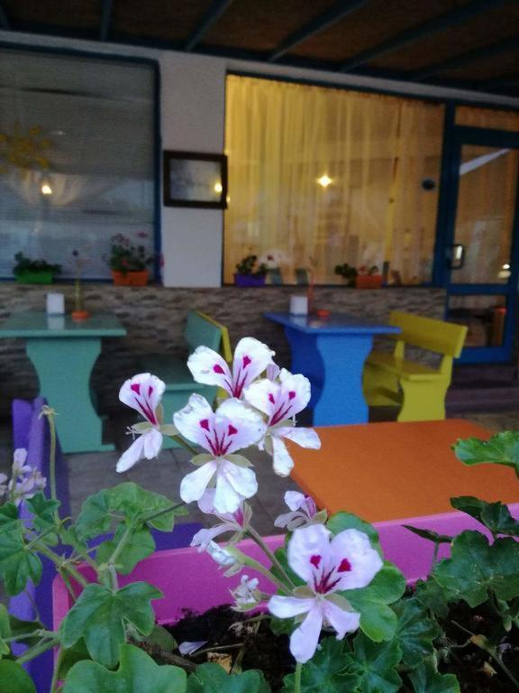 Alba Family Club Hotel Primorsko Exterior photo